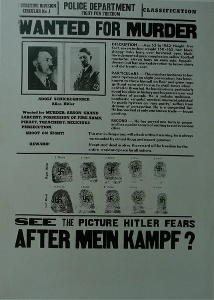 After Mein Kampf  Jonathan Farwell Movie Poster Picture