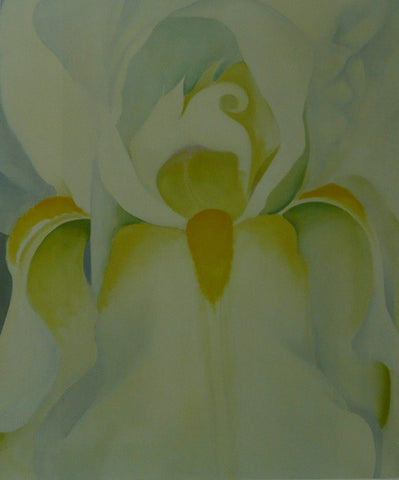 White Iris Georgia O'keeffe