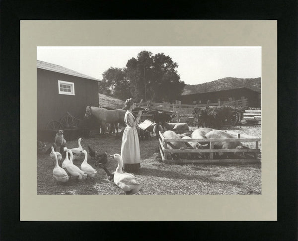 Woman in farmyard setting with farm animals (black & white)