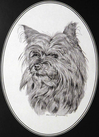Terrier dog Dennis Hennesey Framed Print