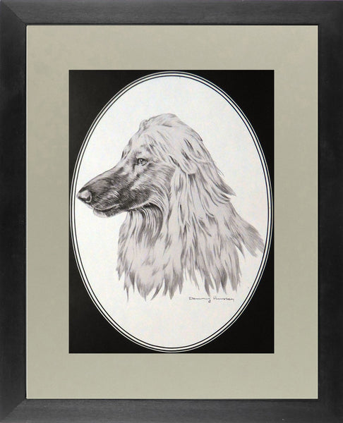 Afghan dog  Dennis Hennesey Framed Print