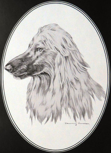 Afghan dog  Dennis Hennesey Framed Print