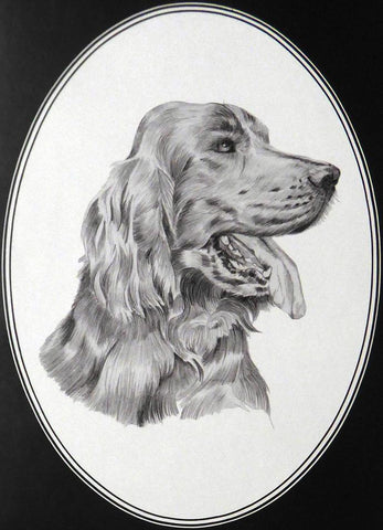 Dog Dennis Hennesey Framed Print