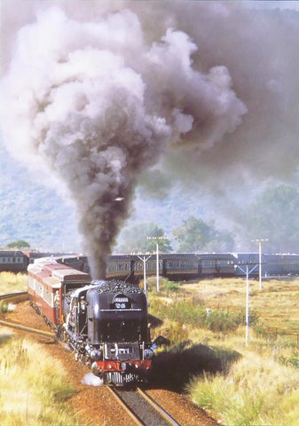 Lefty steam locomotive with carriages (Train)