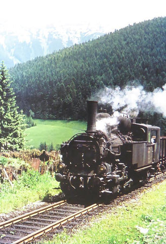 Unknown steam locomotive, travelling the foothills (Train)