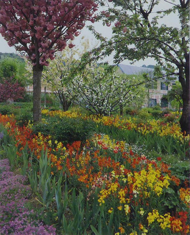 The 'Clos Normand', Spring. Monet (Inspiration)