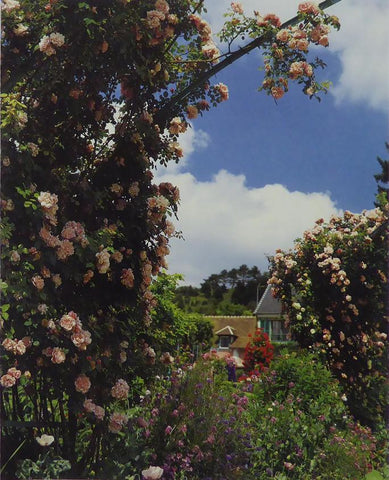 Climbing roses in the 'Clos Normand' Monet (Inspiration)