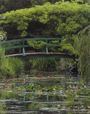 The Japanese bridge and water lily pond. Monet (Inspiration)