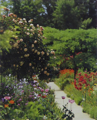 The 'Clos Normand', summer. Monet (Inspiration)