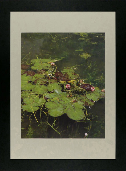 Water Lilies Monet (Inspiration)