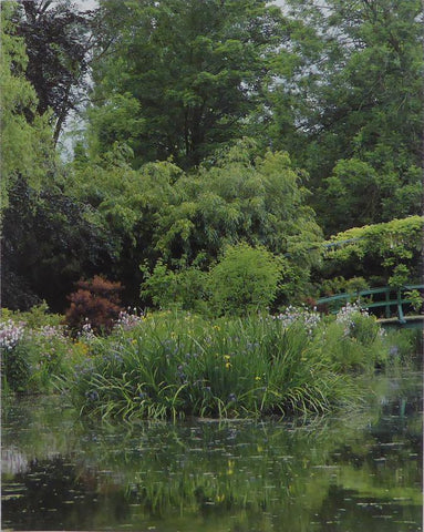 The water garden with irises. Monet (Inspiration)