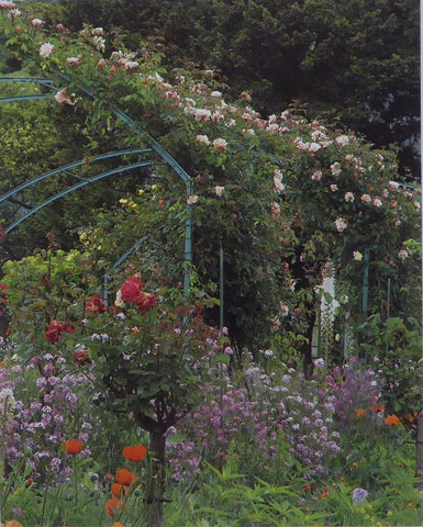 The path with rose trellises, Giverny Monet (Inspiration)