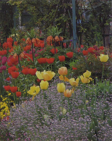 Spring border to the central pathway, Giverny Monet (Inspiration)