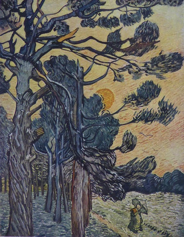 Fir Woods Van Gogh