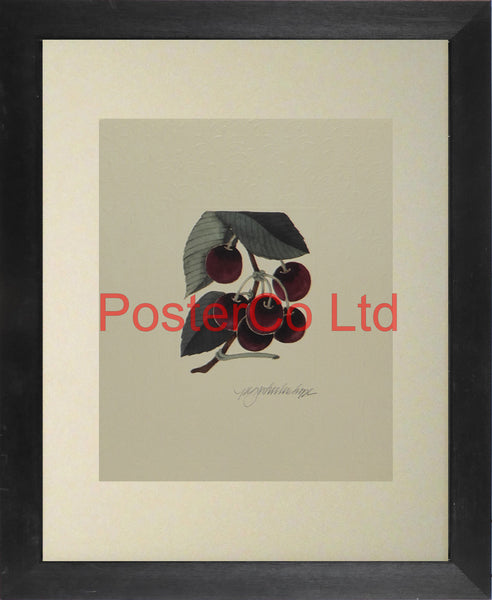 Cherries - Peg Wheeler Hope - Artbeats 1990 - Framed Print - 14"H x 11"W