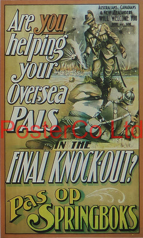 WWI Propaganda Poster (South Africa) - Are You Helping Your Oversea Pals - Framed Picture - 14"H x 11"W