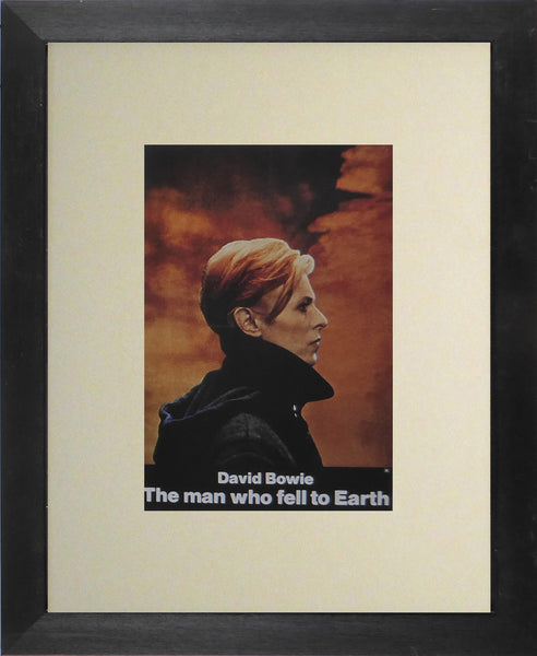 The Man who fell to Earth David Bowie US