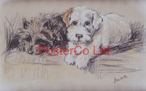 Just Good Friends (Dogs) - Lucy Dawson AKA Mac - Felix rose - Framed Print - 11"H x 14"W