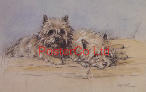 Dogs - Lucy Dawson AKA Mac - Felix rose - Framed Print - 11"H x 14"W