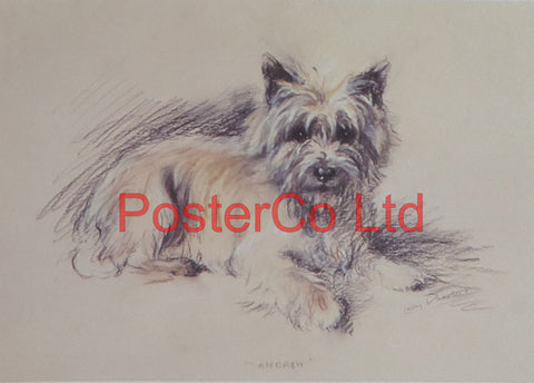Dog called Andrew - Lucy Dawson AKA Mac - Felix rose - Framed Print - 11"H x 14"W