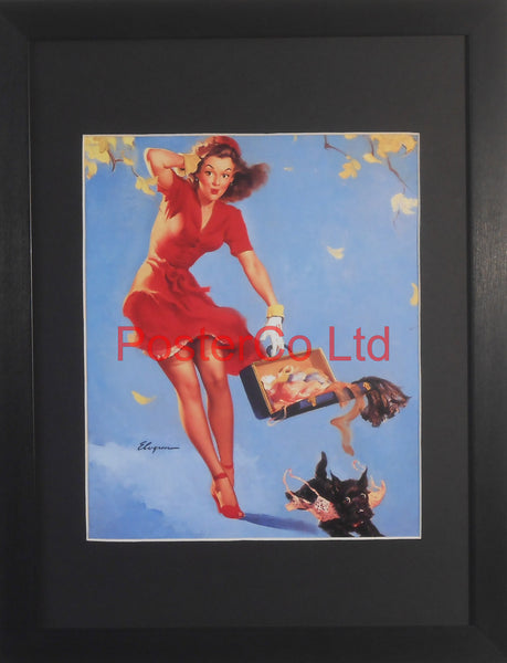 Windy Day Pin Up (Gil Elvgren)  - Framed Picture - 16"H x 12"W
