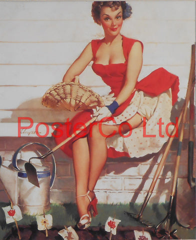How Does Your Garden Grow Pin Up (Gil Elvgren)  - Framed Picture - 16"H x 12"W