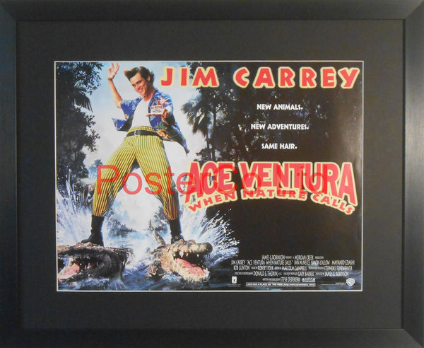 Ace Ventura: Pet Detective - Lobby Poster - Framed 12"H x 16"W
