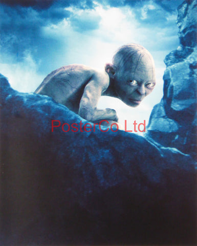 Lord of the Rings - Gollum - Framed print 16"H x 12"W