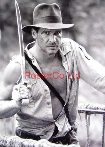 Indiana Jones - Harrison Ford - promo shot - Framed print 16"H x 12"W