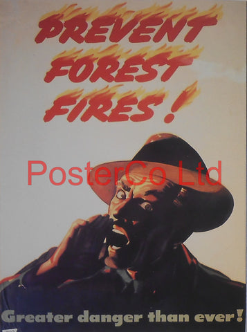 American WWII Propaganda Poster - Civilian / Prevent Forest Fires - Framed Picture - 14"H x 11"W