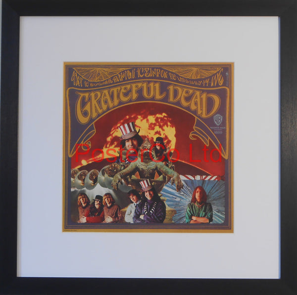 Grateful Dead- Grateful Dead (Album Cover Art) - Framed Print - 16"H x 16"W
