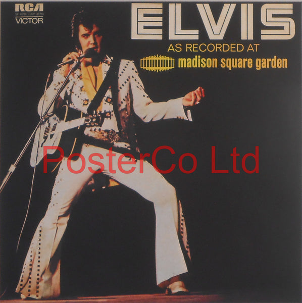 Elvis Presley - Elvis as Recorded At Madison Square Garden (Album Cover Art) - Framed Print - 16"H x 16"W