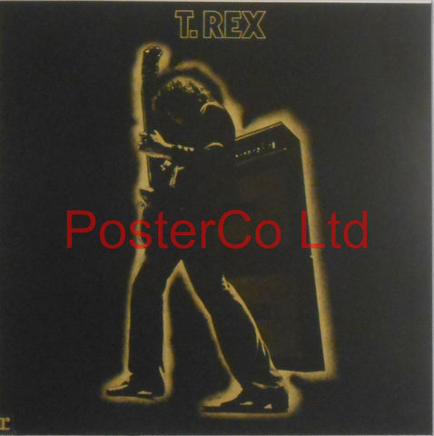 T.Rex - Electric Warrior (Album Cover Art) - Framed Print - 16"H x 16"W