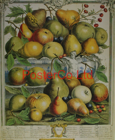 Spring - Robert Furbers Fruit in Season - Framed Print - 20"H x 16"W