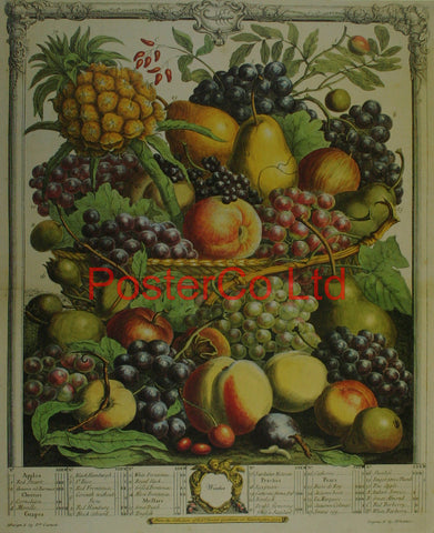 Winter - Robert Furbers Fruit in Season - Framed Print - 20"H x 16"W