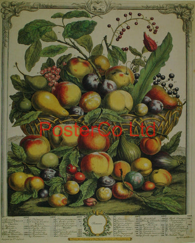 Summer - Robert Furbers Fruit in Season - Framed Print - 20"H x 16"W