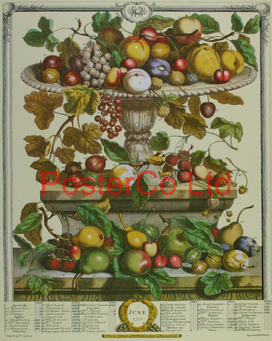 June 1732 - Robert Furbers Months of Fruit - Framed Print - 20"H x 16"W