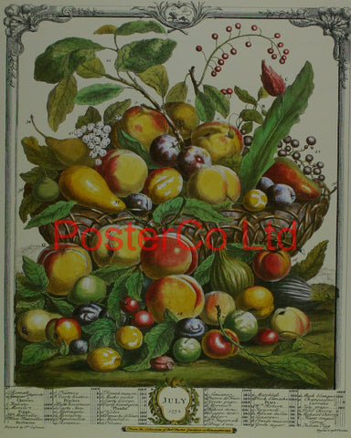 July 1732 - Robert Furbers Months of Fruit - Framed Print - 20"H x 16"W