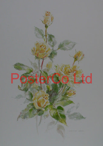 Yellow Rose - Christine Spring - Framed Print - 20"H x 16"W