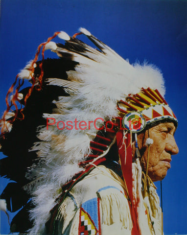 Indian chief - Allen - Framed Print - 20"H x 16"W