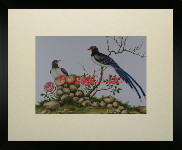 Birds on a rose bush - Framed Print - 16"H x 20"W
