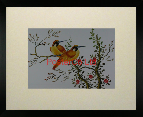 Yellowbirds on flowering branch - anon - Framed Print - 16"H x 20"W