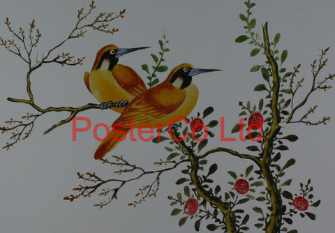 Yellowbirds on flowering branch - anon - Framed Print - 16"H x 20"W