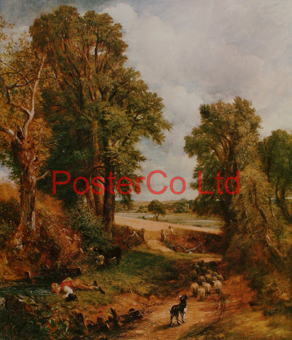 The Cornfield - John Constable - Framed Print - 20"H x 16"W
