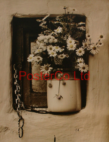 Kilmeaden Flowers - Richard Fitzgerald - Framed Print - 20"H x 16"W