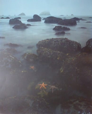 California Stateparks (Starfish) David Muench 1989 Mirage (Genuine and Vintage) Crate3 B10