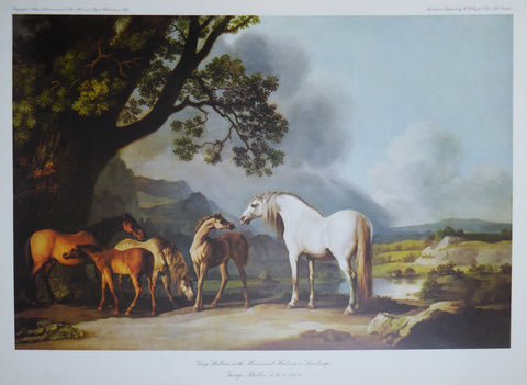 Grey Stallion with mares and foals in the lanscape George Stubbs 1769 (Royle) (Genuine and Vintage)