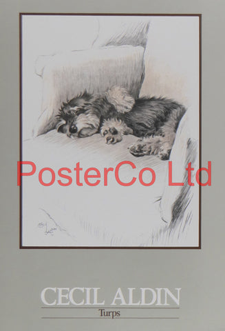 Turps (Dog) - Cecil Aldin - Felix Rose 1986 - Framed Print - 16"H x 12"W