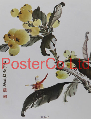 Loquat (Oriental Art) - Chow Chian-Chu & Chow Leung Chen-Ying - Framed Plate - 16"H x 12"W