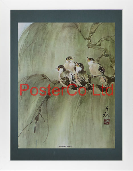 Young Birds (Oriental Art) - Chow Chian-Chu & Chow Leung Chen-Ying - Framed Plate - 16"H x 12"W